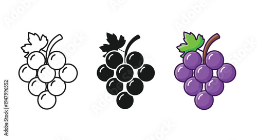 Collection of three distinct stylized vector graphic illustrations depicting a fresh bunch of purple grapes with a leaf and stem element