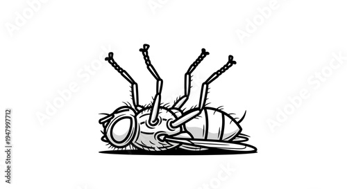 Illustration of a dead fly lying on its back with legs in the air