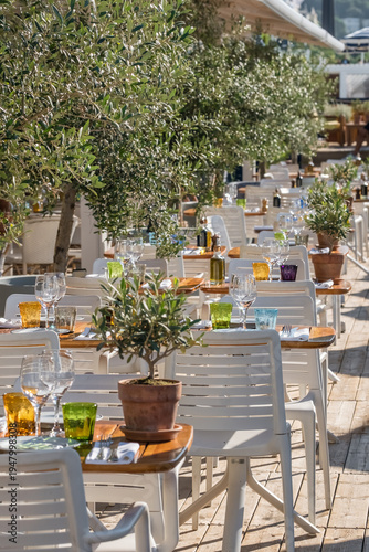 Elegant Outdoor Restaurant Terrace with Olive Trees in Nice