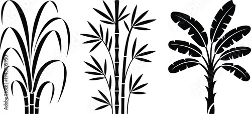Tropical plant silhouettes set, bamboo banana and sugarcane botanical collection, exotic nature foliage icons isolated vector illustration design