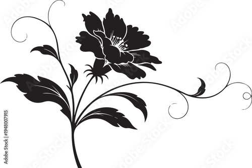 Black floral vector illustration with leaves and curls