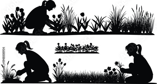 Girl gardening silhouette, woman planting flowers, garden work illustration, gardener planting plants, spring gardening activity, nature gardening concept, black silhouette art