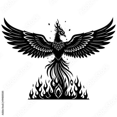 A majestic black silhouette of a mythical phoenix rising from flames against a white background isolated on transparent background, Vector