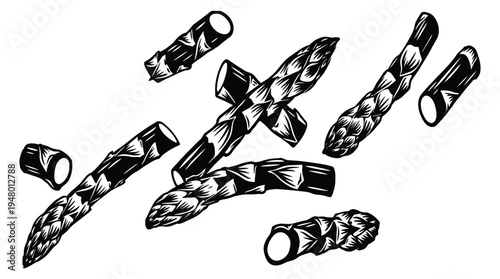 Asparagus spears and cut pieces hand drawn vector illustration set