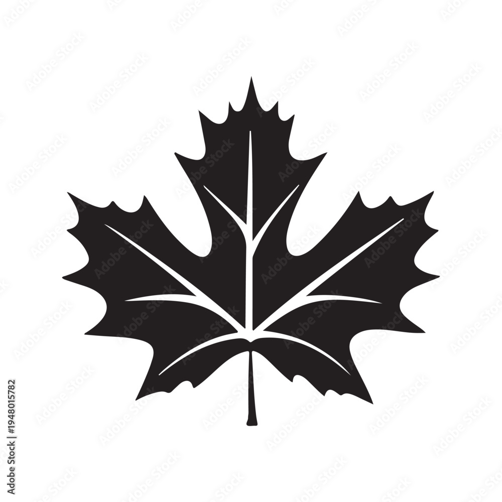 Fototapeta premium Maple leaf. Linear, silhouette isolated on white background. Vector illustration