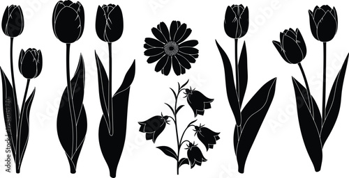 Black vector silhouette set of beautiful spring flowers including tulips, daisies, and bellflowers isolated on white background for floral designs,