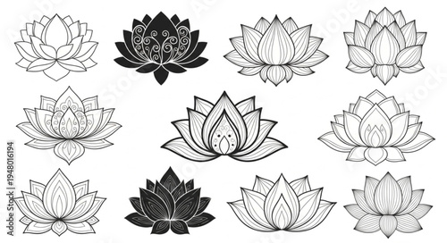Collection of Stylized Lotus Flower Illustrations for Design Projects.