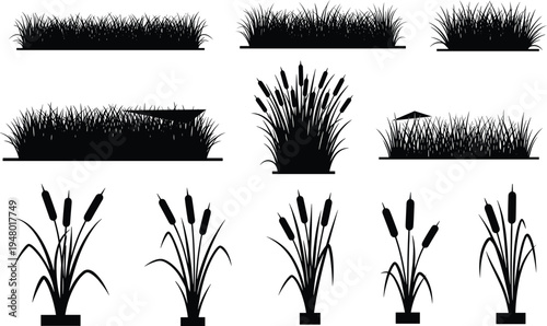 Black silhouettes of various grass and cattail plants on white background cattails