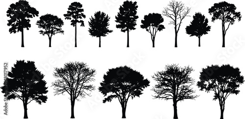 Black silhouettes of various trees on white background 1