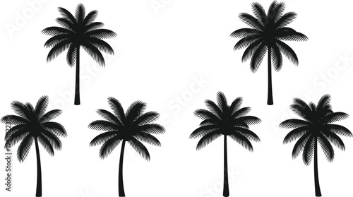 Black silhouette of six palm trees on white background silhouettes tropical