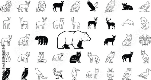 Line- drawn silhouette collection of various carnivorous mammals and birds