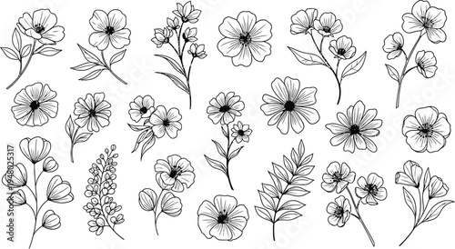 Blackline floral botanical line variety collection of petals and leaves