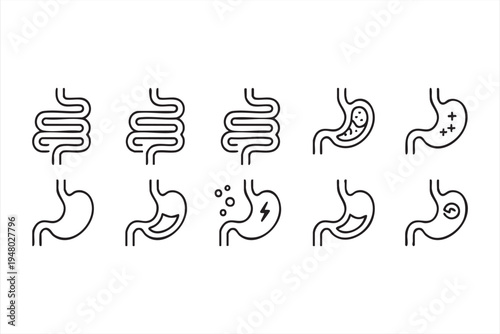 Medical digestion line icons for clinic education and wellness communication