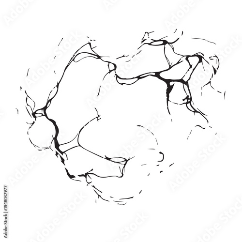 Abstract cracked circular line drawing with delicate contour lines and negative space.