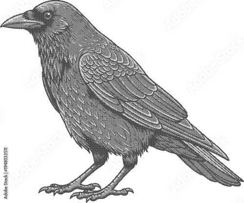 grunge dotted texture Detailed illustration of a crow standing on two legs with feathers and claws visible