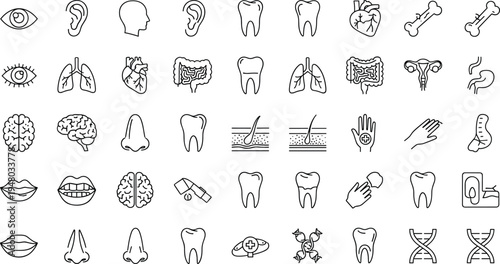 Human anatomy outline icons set body parts medical collection illustration