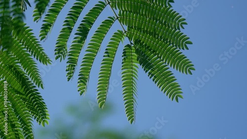 Wallpaper Mural Artistic Summer Nature Scenes with Empty Shots and Natural Beauty Torontodigital.ca