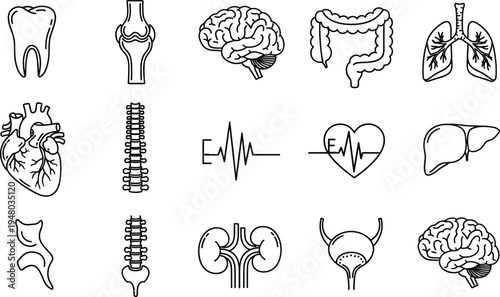 Medical anatomy outline icons set organs healthcare collection illustration