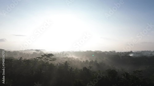 misty morning 