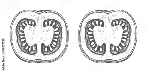 Two monochrome cross sections of a tomato fruit