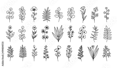 Hand drawn botanical plant and flower line art set with leaves floral doodle elements isolated vector collection