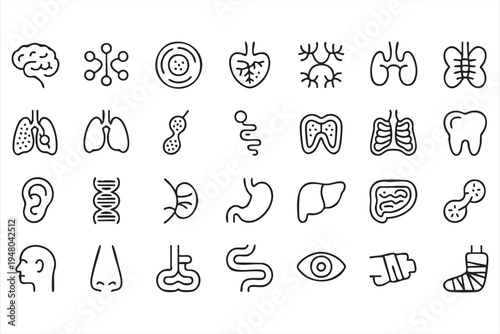 Healthcare anatomy outline icon collection with human organs skeleton tooth ear and eye
