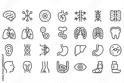 Healthcare anatomy icon pack with brain lungs stomach liver kidney and medical symbols