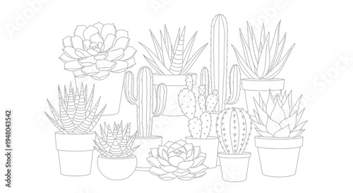 A beautiful botanical illustration featuring a diverse collection of potted succulents and cacti, perfect for nature-themed coloring books or minimalist decorative design projects.