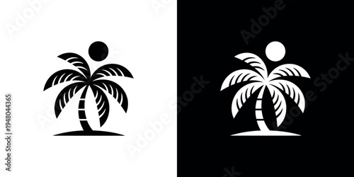 Black and white palm tree on contrasting backgrounds