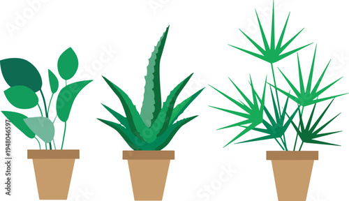 Vector Illustration of Three Beautiful Potted Houseplants Including Aloe Vera and Palm Leaves Set in Simple Brown Ceramic Pots Isolated on a White Background