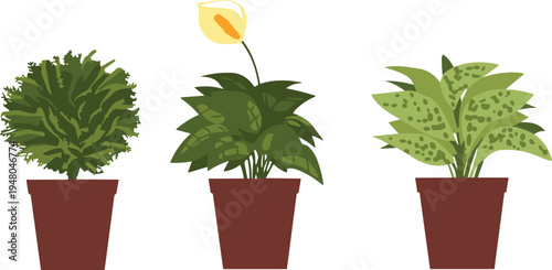 Vector Illustration Set Featuring Three Distinct Decorative Houseplants Including a Lush Fern and a Blooming Peace Lily Potted in Simple Brown Ceramic Planters Isolated