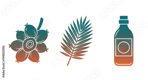 Tropical Elements - Acai Berries, Palm Leaf, and Bottle Illustration.