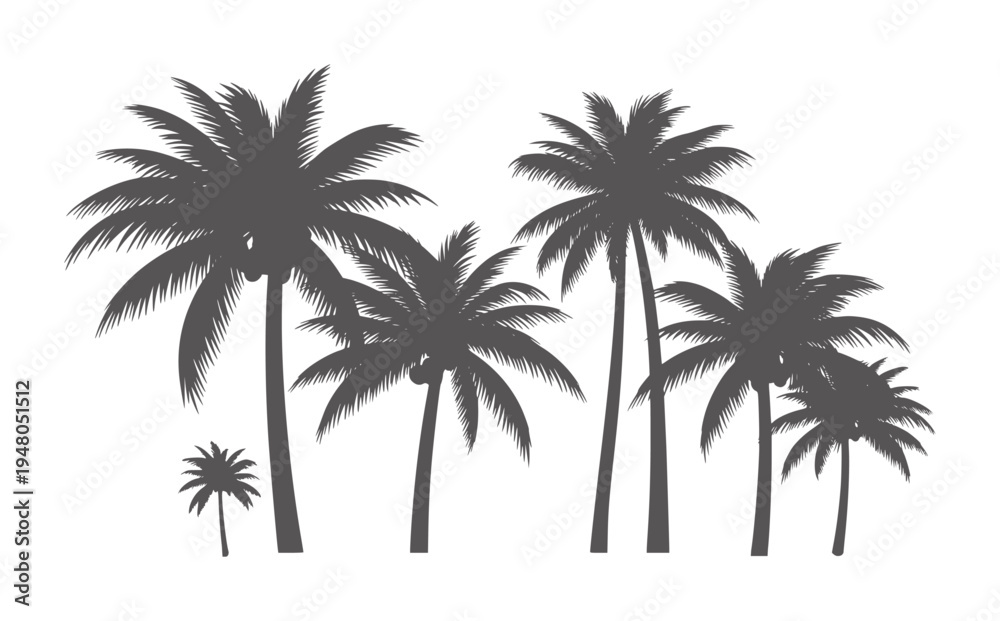 Obraz premium Dark gray silhouette of multiple palm trees against a white