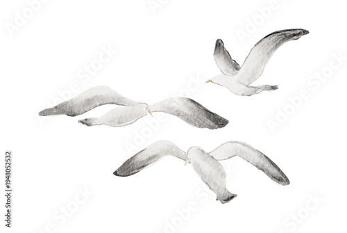 Canvastavla Watercolor seagull set, hand-painted flying sea birds illustration-300dpi-