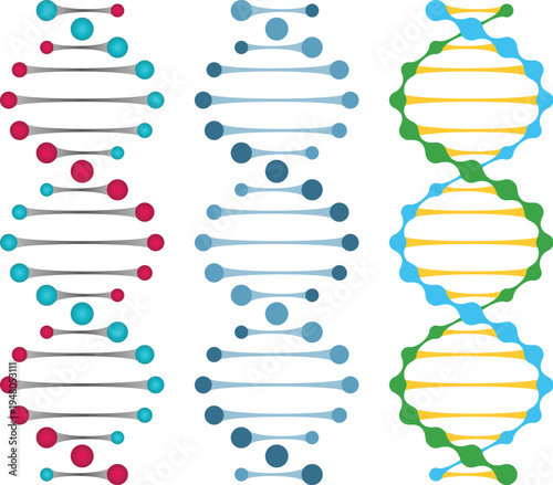 Scientific dna molecule structure for education and lab research vector