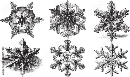 Detailed snowflake crystals vector illustration set. Winter weather icons.