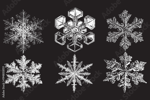 Detailed snowflake crystals vector illustration set. Winter weather icons.