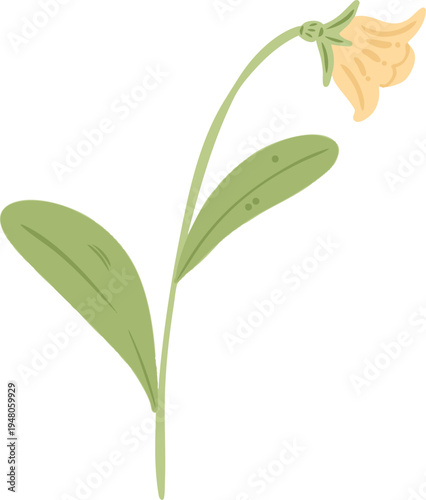 Soft Yellow Bell Flower Illustration