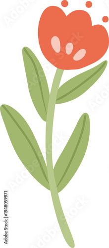 Cute Red Tulip Flower Botanical Illustration