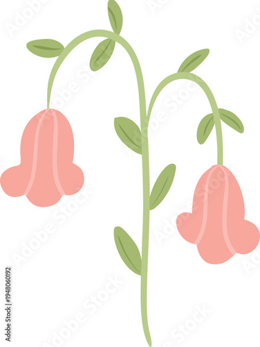 Soft Pink Bell Shape Flower Illustration