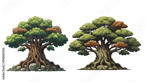 Two large trees with exposed roots and green leaves are standing side by side on rocky ground.