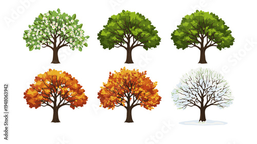 Six trees show seasonal changes with green, orange, and bare branches in a natural setting.
