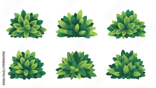 Green plants arranged in two rows on a white surface indoors