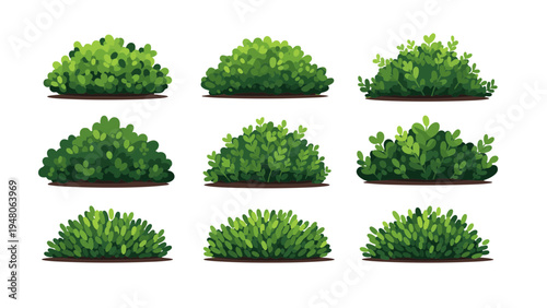 Illustration of various green bushes in a garden setting from a top viewpoint