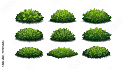 A collection of eight green bushes with various textures are arranged in three rows on a plain surface.