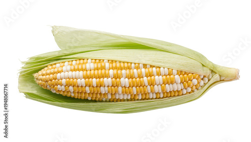 Foto Isolated fresh raw bicolor sweet corn cob with green husks, ripe and ready for c