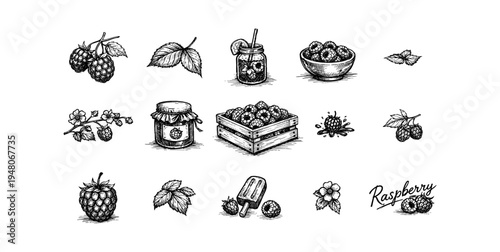 Collection of hand-drawn raspberry illustrations including fruit, jam, juice, and treats