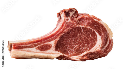 Isolated raw lamb chop with bone, fresh uncooked meat, gourmet food preparation ingredient