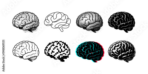 Collection of diverse brain illustrations in various artistic styles on a white background