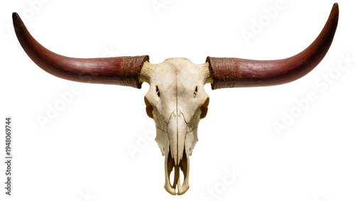 Foto Isolated steer skull with large, curved horns, a powerful symbol of wild west an